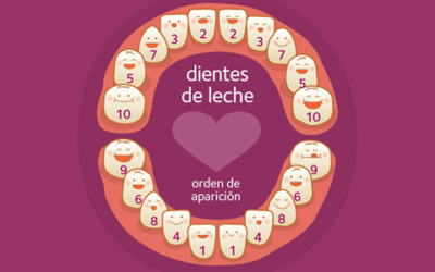 Cuándo Aparecen los Primeros Dientes